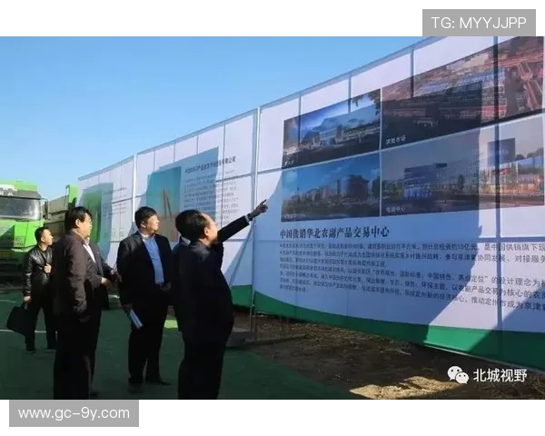 以定州和衡水为核心全面推进五人制足球区域协同创新发展新格局 以定州和衡水为核心全面推进五人制足球区域协同创新发展新格局